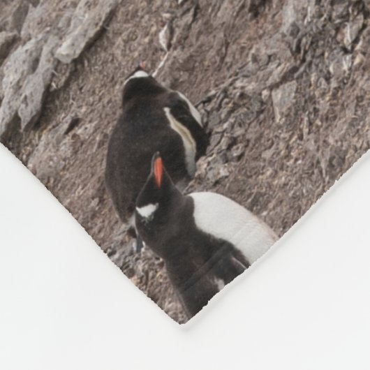 PENGUINES BESIDE ZEE FLEECE DEKEN (Hoek)