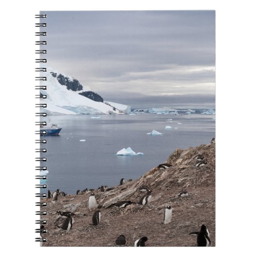 PENGUINES BESIDE ZEE NOTITIEBOEK (Voorkant)