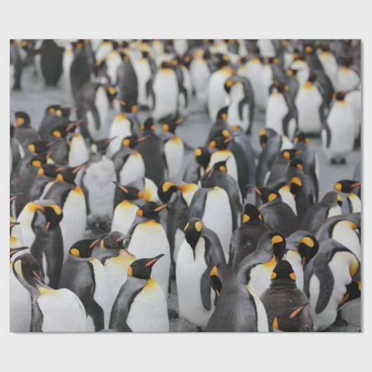 PENGUINES CADEAUPAPIER (Vlak)