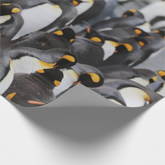 PENGUINES CADEAUPAPIER (Hoek)