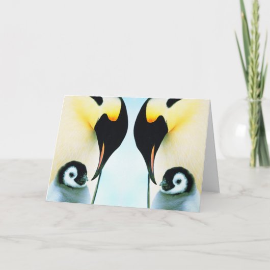 PENGUINES FEESTDAGEN KAART (Voorkant)