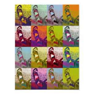 PENGUINES FOTO AFDRUK