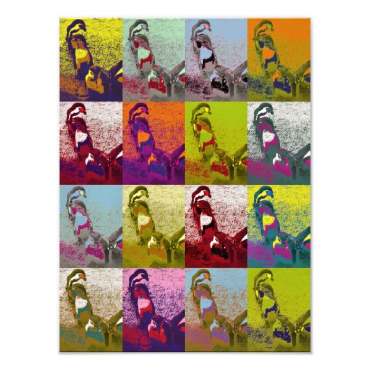 PENGUINES FOTO AFDRUK (Voorkant)