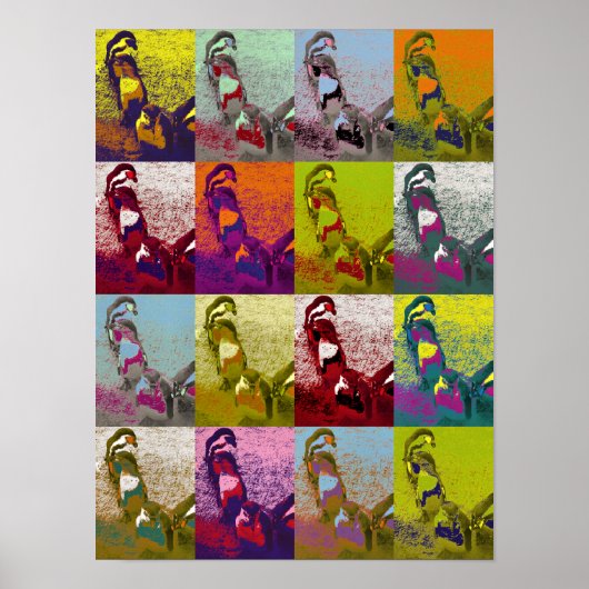 PENGUINES POSTER (Voorkant)