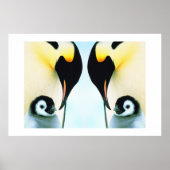 PENGUINES POSTER (Voorkant)