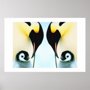 PENGUINES POSTER