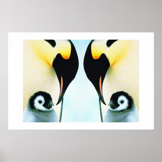 PENGUINES POSTER (Voorkant)