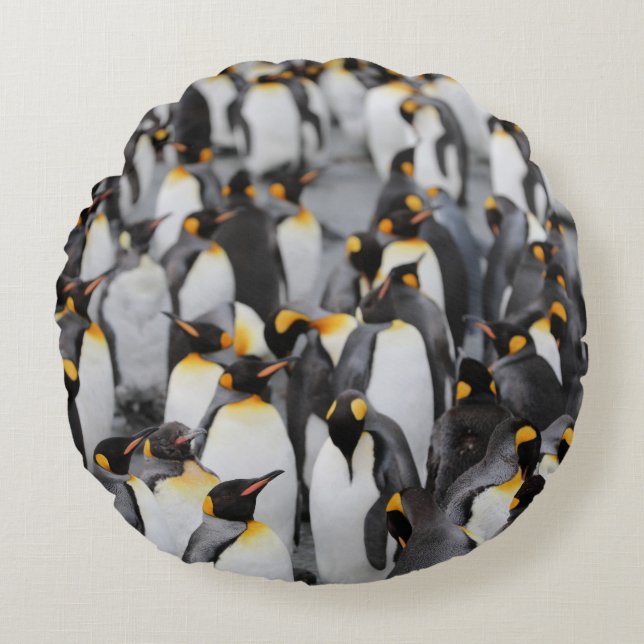PENGUINES ROND KUSSEN (Voorkant)