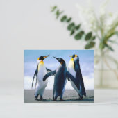 Penguins afspelen briefkaart (Staand voorkant)