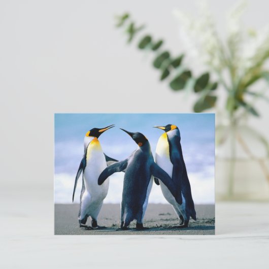 Penguins afspelen briefkaart (Staand voorkant)