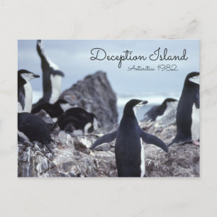 Penguins Antarctica Deception Island Briefkaart