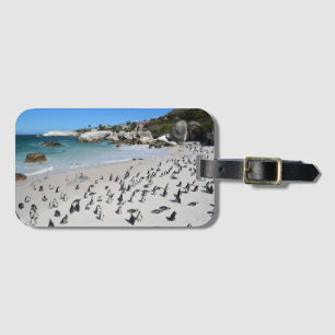 Penguins Boulders Beach   Zuid-Afrika Bagagelabel
