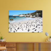 Penguins Boulders Beach | Zuid-Afrika Canvas Afdruk (Insitu (Woonkamer))