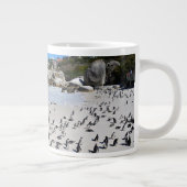 Penguins Boulders Beach | Zuid-Afrika Grote Koffiekop (Rechts)
