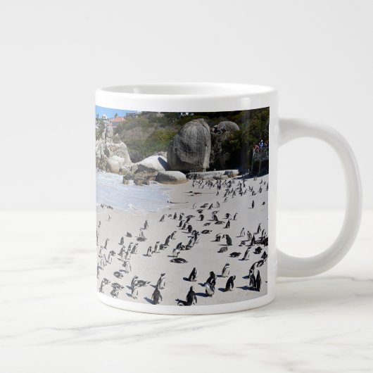 Penguins Boulders Beach | Zuid-Afrika Grote Koffiekop (Rechts)