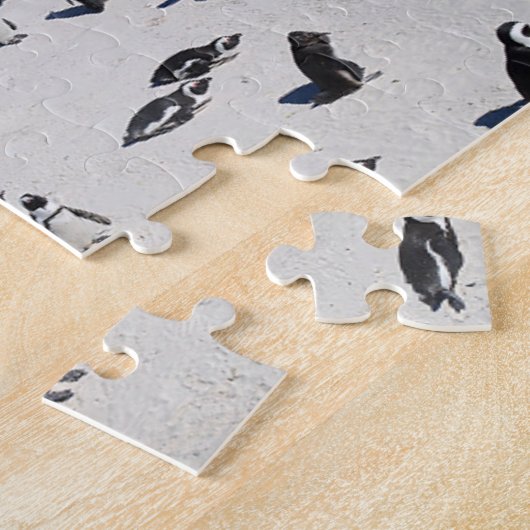 Penguins Boulders Beach | Zuid-Afrika Legpuzzel (Zijkant)