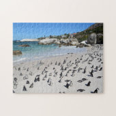 Penguins Boulders Beach | Zuid-Afrika Legpuzzel (Horizontaal)