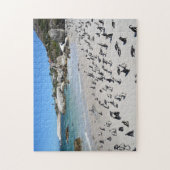 Penguins Boulders Beach | Zuid-Afrika Legpuzzel (Verticaal)
