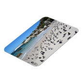 Penguins Boulders Beach | Zuid-Afrika Magneet (Linkerzijde)