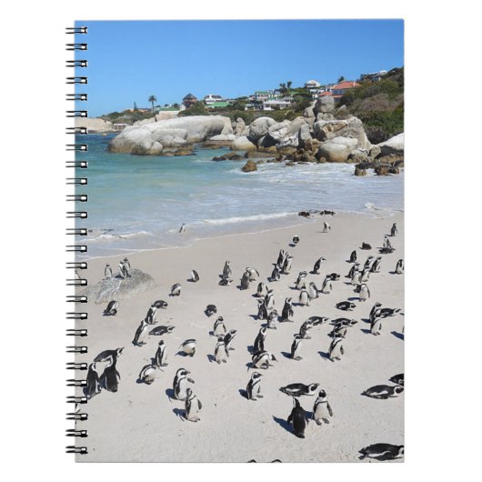 Penguins Boulders Beach | Zuid-Afrika Notitieboek (Voorkant)