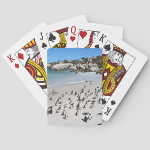 Penguins Boulders Beach   Zuid-Afrika Pokerkaarten