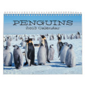 Penguins Calendar Kalender (Hoes)