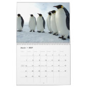 Penguins Calendar Kalender (Mar 2027)