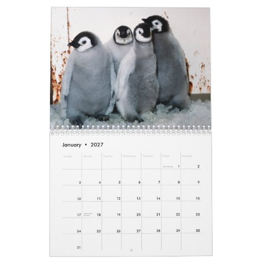 Penguins Calendar Kalender (Jan 2027)