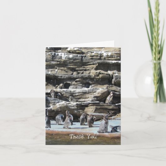 Penguins Dank u Bedankkaart (Voorkant)