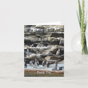 Penguins Dank u Bedankkaart