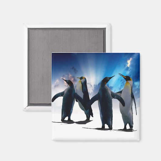 Penguins dans magneet (Voorkant / Achterkant)