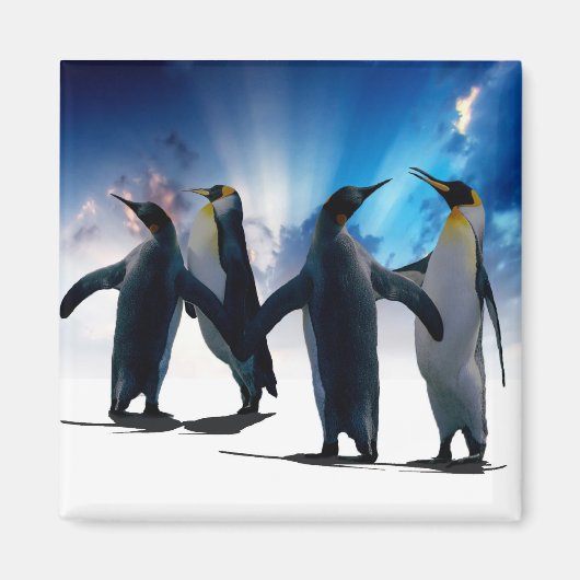 Penguins dans magneet (Voorkant)