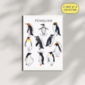Penguins Educatief Poster