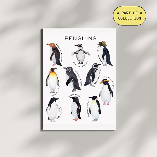 Penguins Educatief Poster