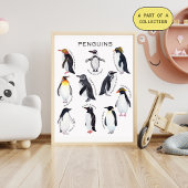 Penguins Educatief Poster