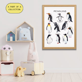 Penguins Educatief Poster