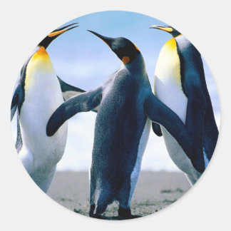 Penguins from Alaska Ronde Sticker