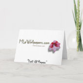 Penguins Holiday Light Display Feestdagen Kaart (Achterkant)