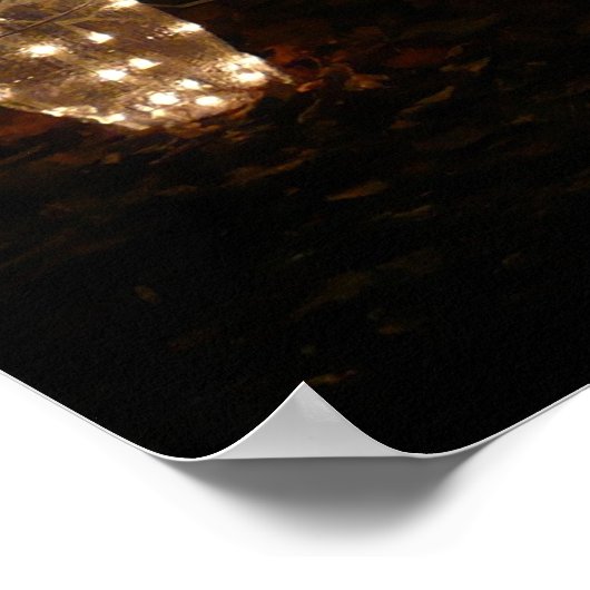 Penguins Holiday Light Display Poster (Hoek)