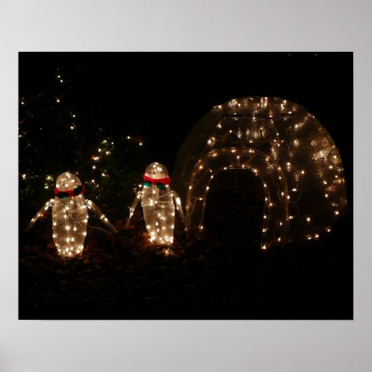 Penguins Holiday Light Display Poster (Voorkant)