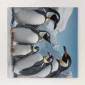 Penguins Jigzaag Puzzle Legpuzzel (Horizontaal)