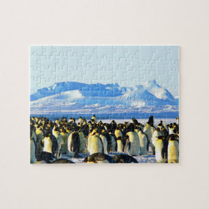Penguins jigzaagpuzzel legpuzzel