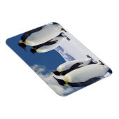 Penguins Magnet Magneet (Rechterzijde)