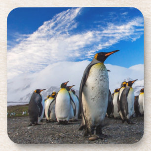 Penguins Marching Blue Sky Bier Onderzetter