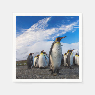 Penguins Marching Blue Sky Servet