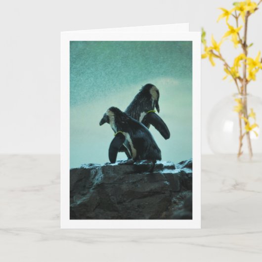 Penguins on Rock Kaart (Gele Bloem)