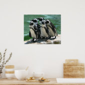 Penguins Photo Print (Keuken)