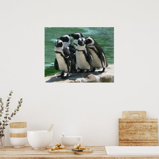 Penguins Photo Print (Keuken)