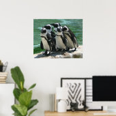 Penguins Photo Print (Thuiskantoor)