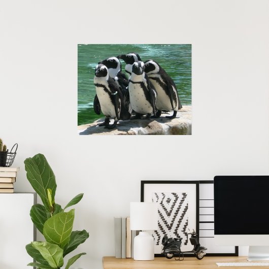 Penguins Photo Print (Thuiskantoor)